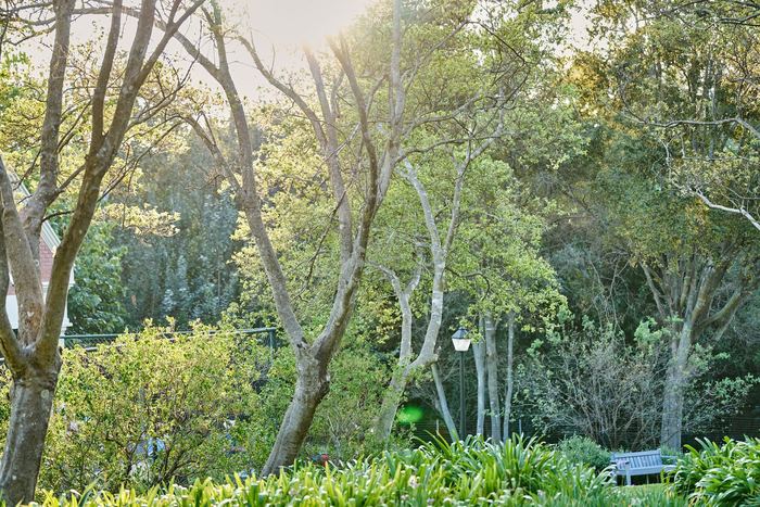 Waterford Estate, Fourways